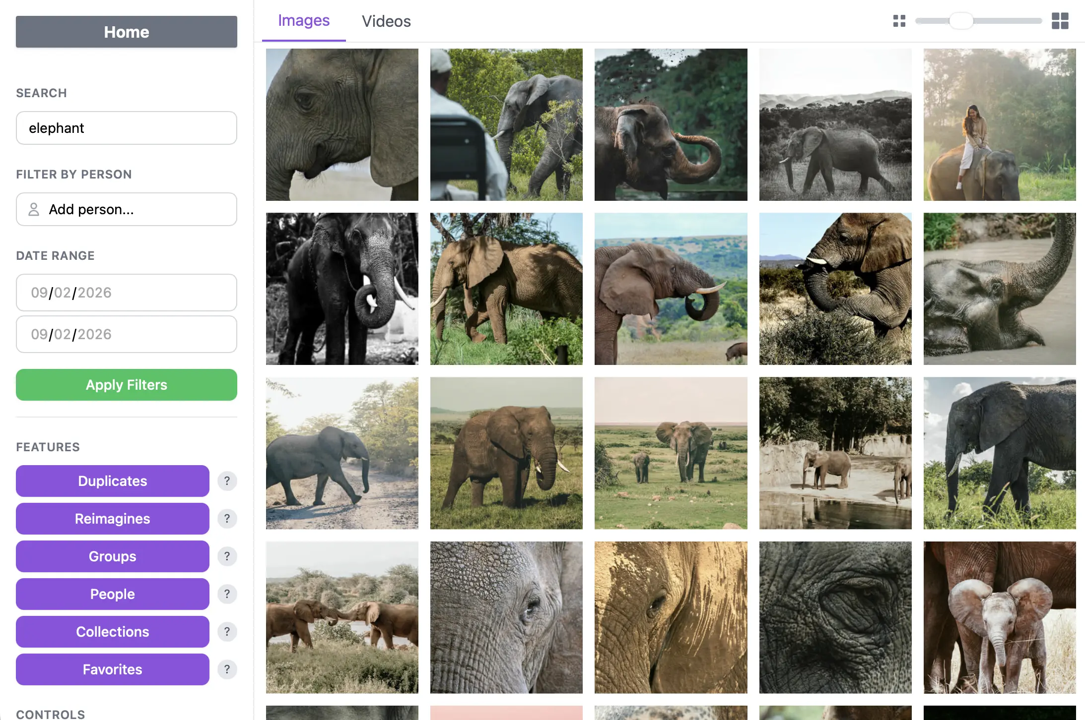 Search photos and videos AI photo organizer feature demo